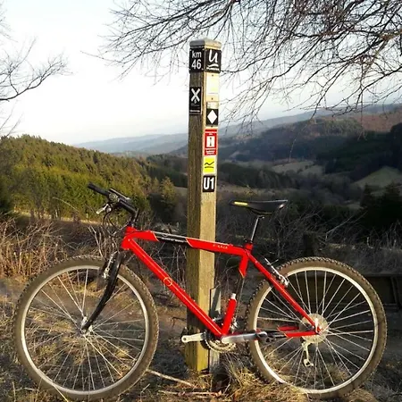 Guest house Rosenschloesschen 3*