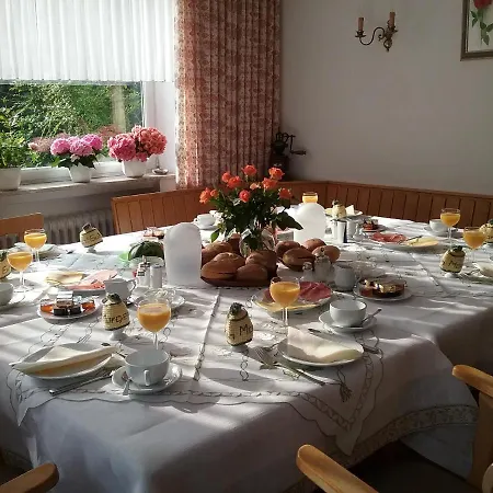 Rosenschloesschen Guest house Willingen (Upland)